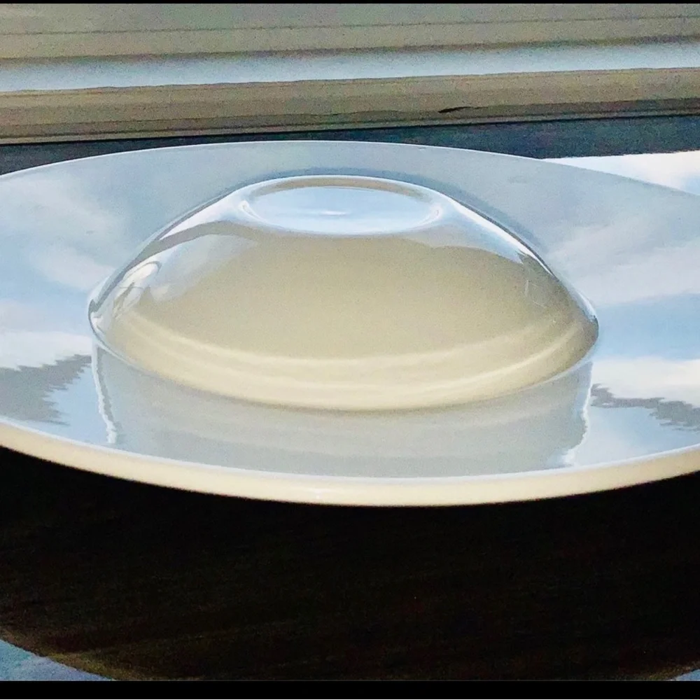 Set of TWO Steelite Distinction Commercial Float Plates Med - Picture 8 of 8